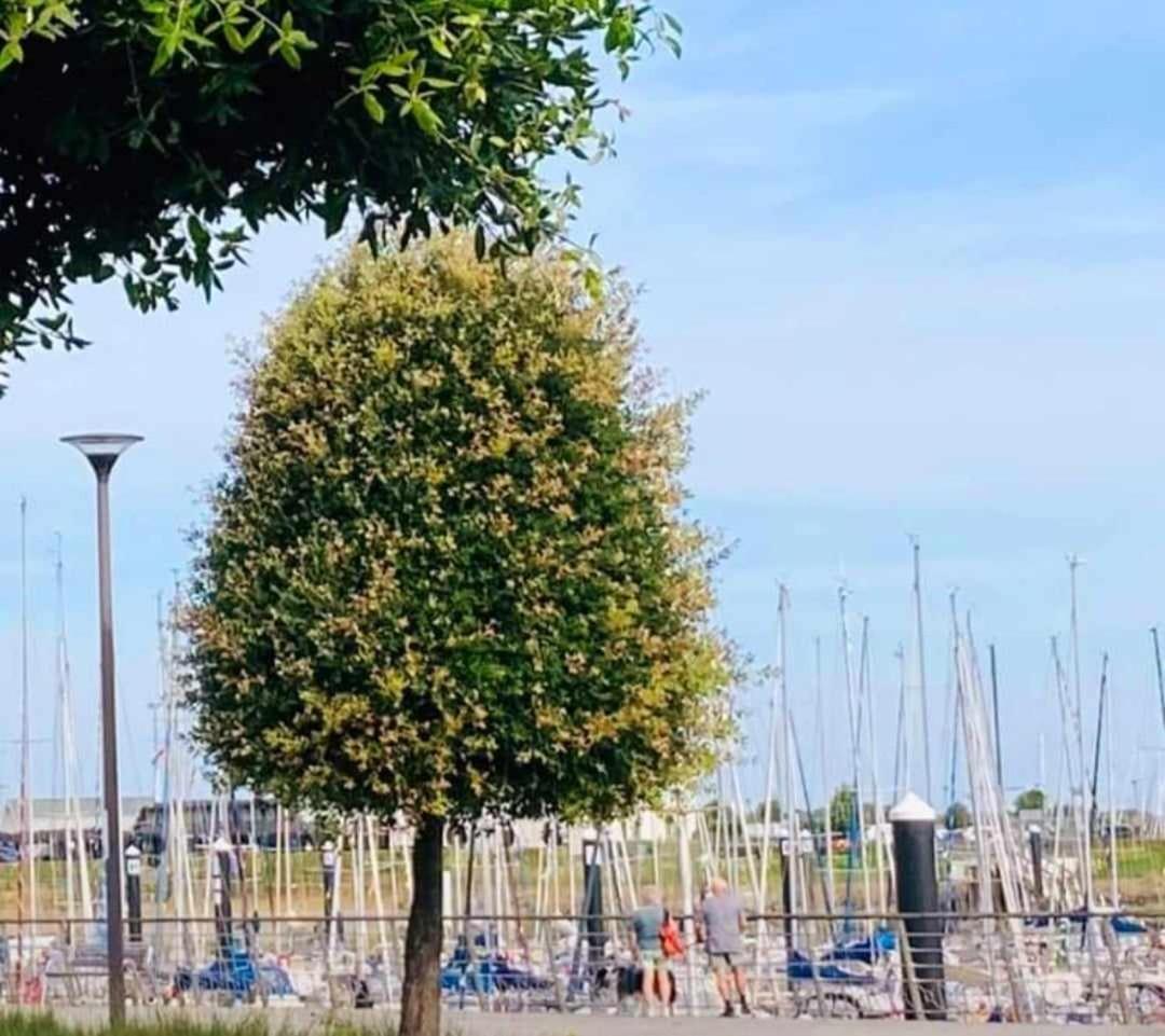 Duplex Villa Capricia Appartement Met Zwembad Nieuwpoort Jachthaven Экстерьер фото
